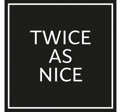 twice as nice logo